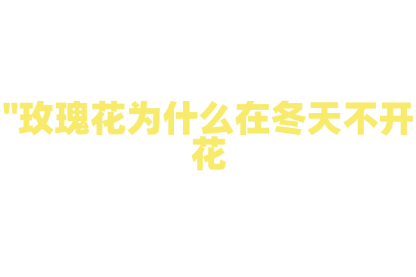"玫瑰花为什么在冬天不开花？"